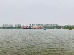 -上海长兴岛郊野公园