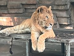 -宁波野生动物园