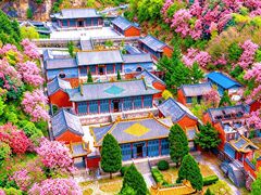 -藏山旅游风景区