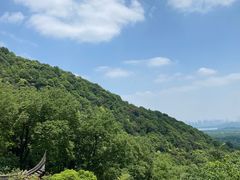 -韬光茶庵