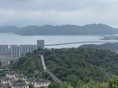 -黄贤森林公园