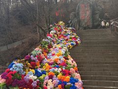 -秦岭天竺山生态文化旅游景区
