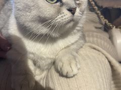 -普洱茶府(博乐广场店)