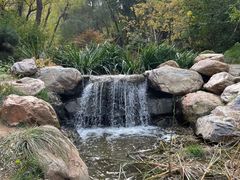 -大连植物园