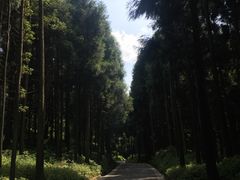 -山王坪喀斯特国家生态公园