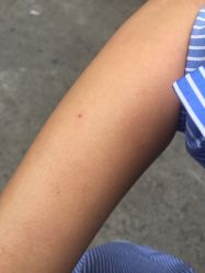 -上海玫瑰医疗美容医院