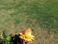 -云南滇池花园国际大酒店温泉