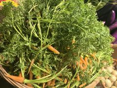 -传统菜农庄(皇姑路店)