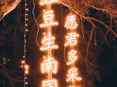 -万泉公园