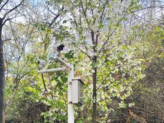 -南京特殊教育师范学院(燕子矶校区)