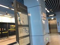 -大王庄(地铁站)