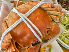 -品鲜村农家菜·阳澄湖大闸蟹(总店)