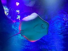 -沈阳海洋探索中心