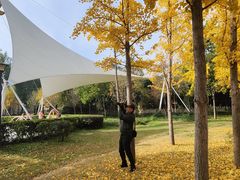 -洛阳宴·洛阳菜(南昌路店)