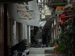 -长洲岛
