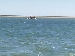 -碧海金沙