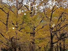 -长兴八都岕景区