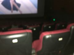 放映厅-万达影城(保定万博广场激光IMAX店)