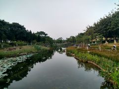-映月湖公园