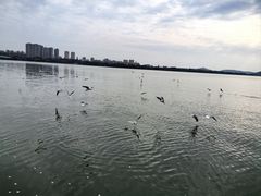 -蠡湖大桥公园