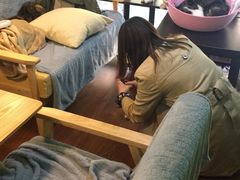 -李小姐の猫咖啡馆(五角场店)