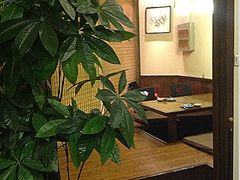 -花月日本料理(奥林匹克大厦店)