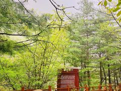 -青峰峡国家森林公园