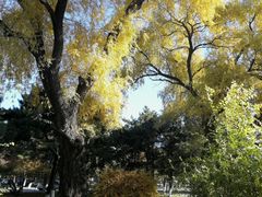 -东北大学(南湖校区)