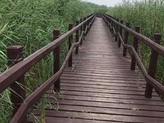 -西青郊野公园