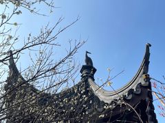 -香雪海
