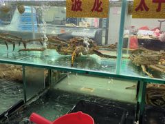 -华威西营里农产品批发市场