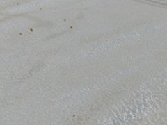-德烨酒家