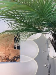 -小梨·OndaPro·专业脱毛连锁机构