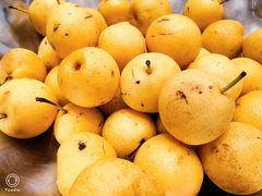 -北京园博大酒店