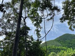 -西双版纳原始森林公园