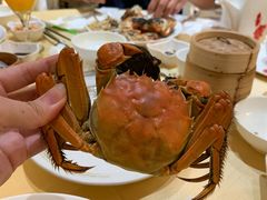 -東海薈。拉斐特(青衣城店)