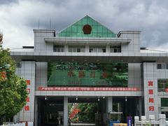 -打洛口岸