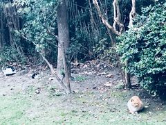 -复旦大学本部-食堂