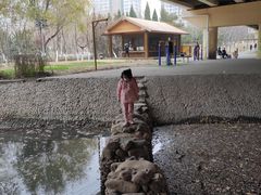 -长白岛森林公园