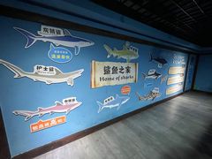 -重庆欢乐海底世界