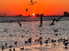 -老虎石海上公园