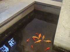-柴米油盐(土菜院子店)