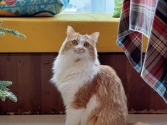 -氷冰凉刨冰甜品(北京路店)