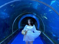 -威海华夏城景区