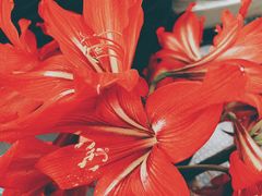 -漫咖啡MAANCOFFEE(清江路店)