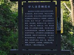 -阳台山自然风景区