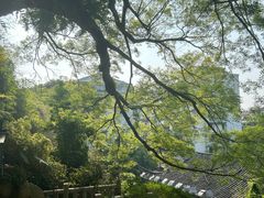 -乌山风景区
