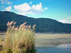 -腾冲北海湿地