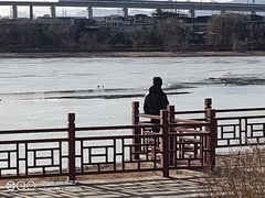 -绿堤公园