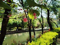 -黑龙潭公园